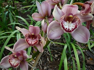 P1010367