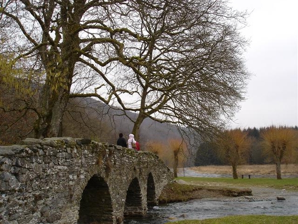 20060226 10u14  wandeling DSC01840