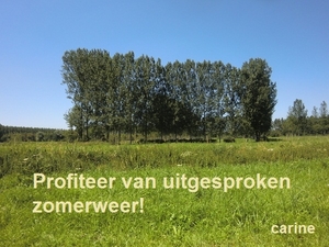 zomergroetjes