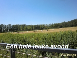 getimage2.php?imageid=2909719&albumid=36662&typeid=3
