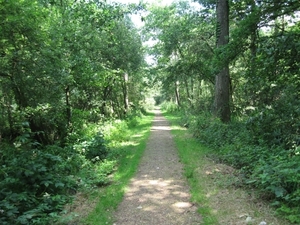 Blaasveld Natuurdomein Het Broek 2011 003