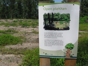 Blaasveld Natuurdomein Het Broek 2011 017