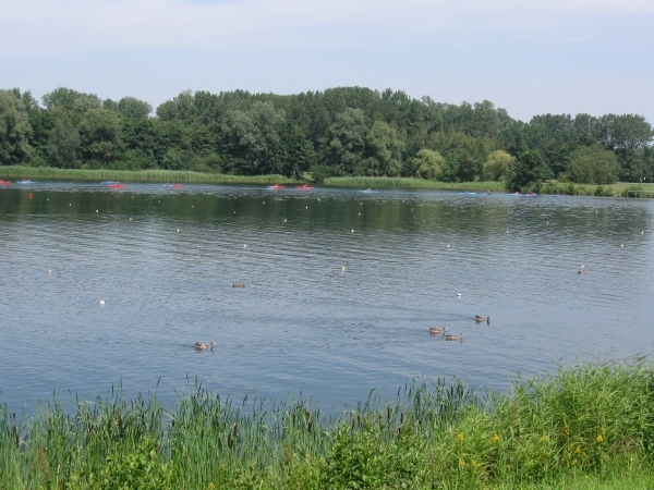 Blaasveld Natuurdomein Het Broek 2011 036
