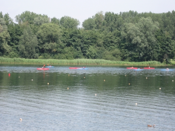 Blaasveld Natuurdomein Het Broek 2011 037