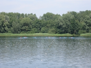 Blaasveld Natuurdomein Het Broek 2011 038