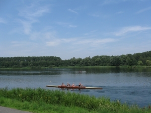 Blaasveld Natuurdomein Het Broek 2011 048