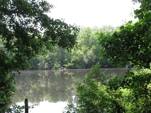 Blaasveld Natuurdomein Het Broek 2011 052