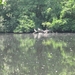 Blaasveld Natuurdomein Het Broek 2011 053