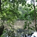 Blaasveld Natuurdomein Het Broek 2011 054