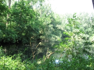 Blaasveld Natuurdomein Het Broek 2011 058