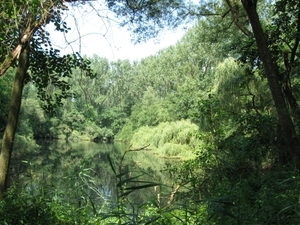 Blaasveld Natuurdomein Het Broek 2011 059