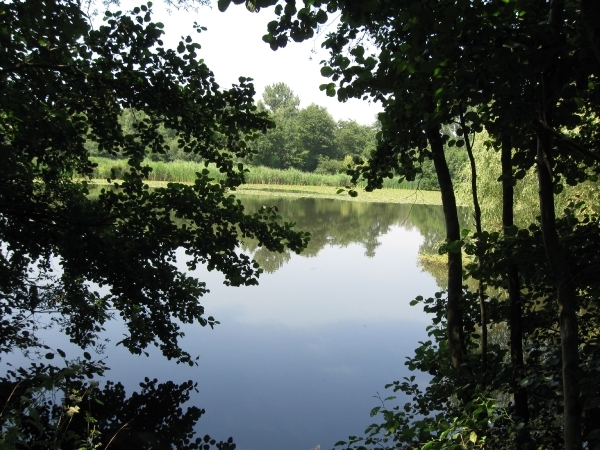 Blaasveld Natuurdomein Het Broek 2011 060