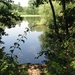 Blaasveld Natuurdomein Het Broek 2011 061