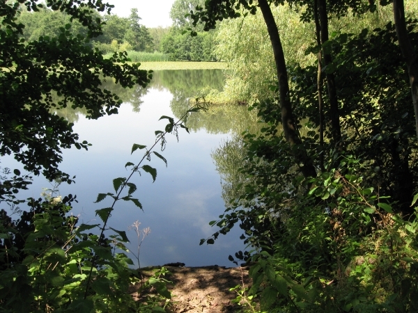 Blaasveld Natuurdomein Het Broek 2011 061