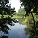 Blaasveld Natuurdomein Het Broek 2011 062