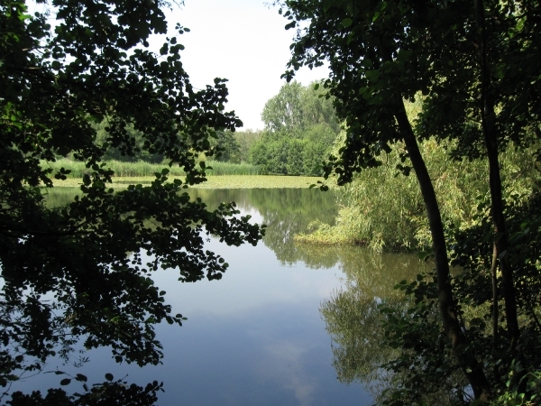 Blaasveld Natuurdomein Het Broek 2011 062