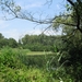 Blaasveld Natuurdomein Het Broek 2011 064