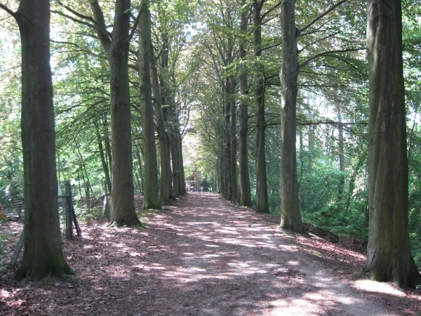 Blaasveld Natuurdomein Het Broek 2011 066