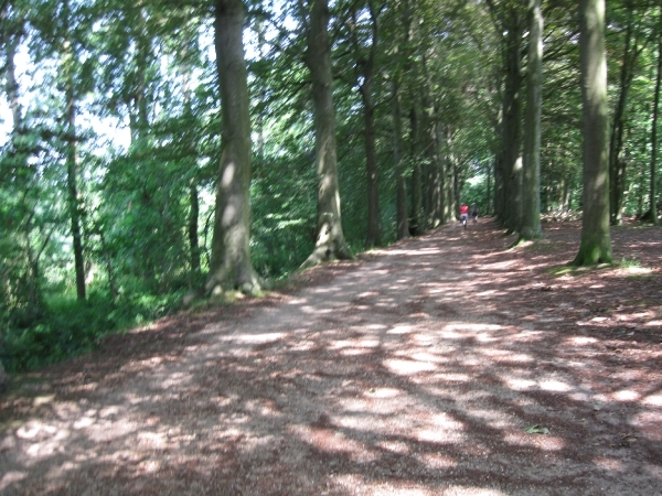 Blaasveld Natuurdomein Het Broek 2011 067