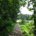 Blaasveld Natuurdomein Het Broek 2011 068