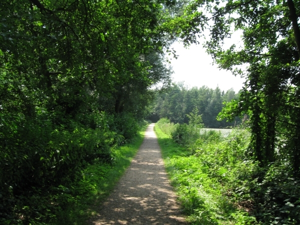 Blaasveld Natuurdomein Het Broek 2011 068