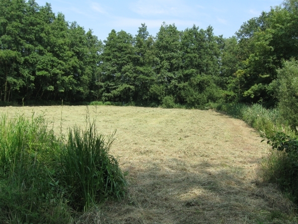 Blaasveld Natuurdomein Het Broek 2011 080