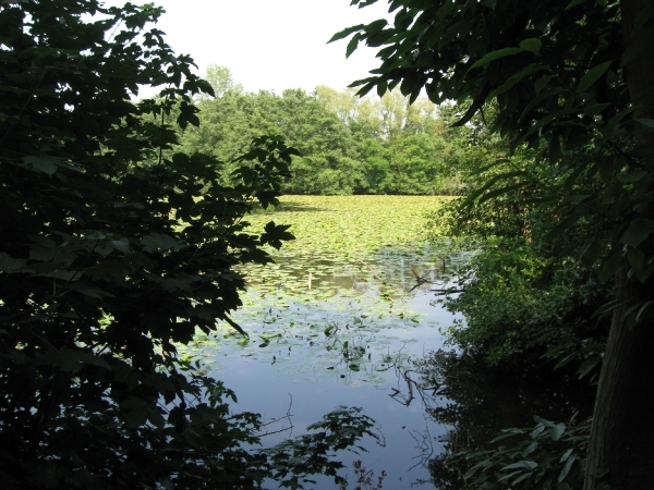 Blaasveld Natuurdomein Het Broek 2011 089