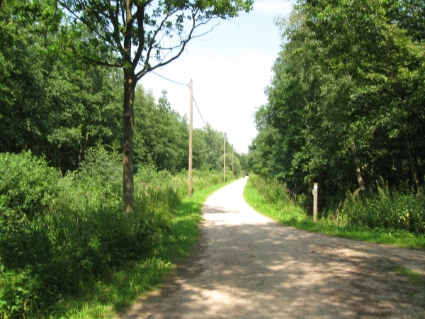 Blaasveld Natuurdomein Het Broek 2011 094