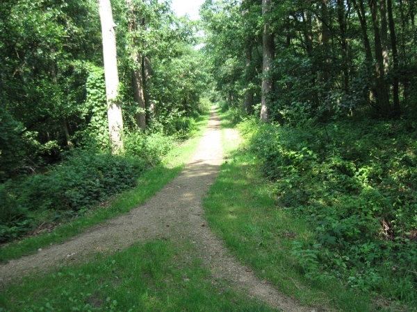 Blaasveld Natuurdomein Het Broek 2011 097