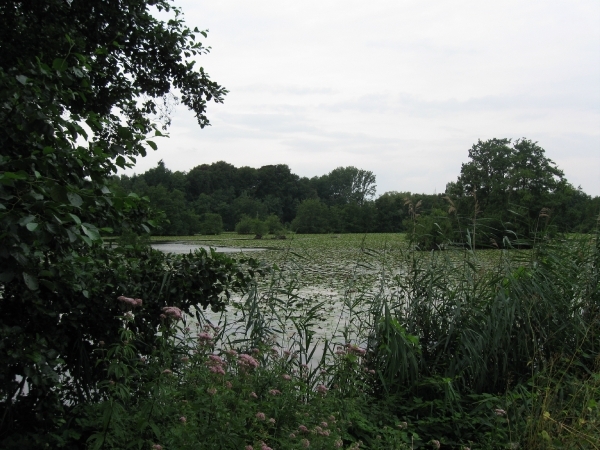 Hazewinkel en broek 2010 009