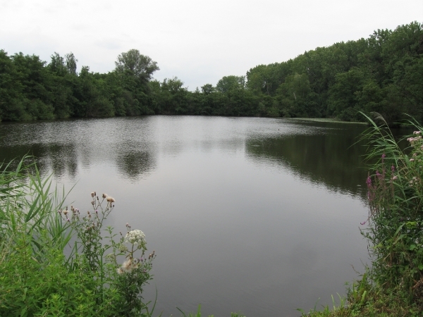 Hazewinkel en broek 2010 010