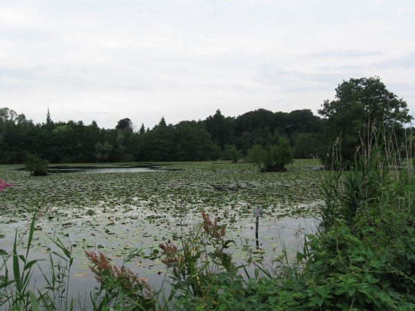 Hazewinkel en broek 2010 011