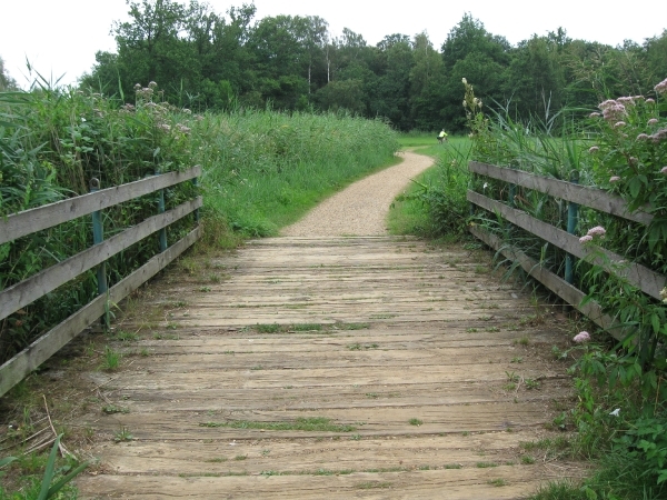 Hazewinkel en broek 2010 014