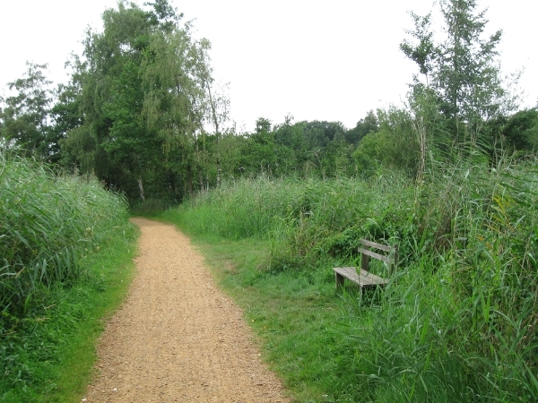 Hazewinkel en broek 2010 015