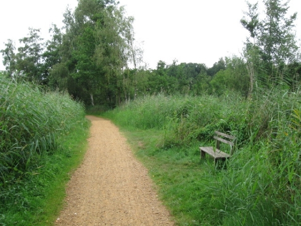 Hazewinkel en broek 2010 016