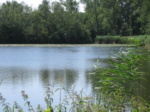 Blaasveld broek 034