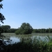Blaasveld broek 040