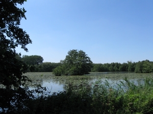 Blaasveld broek 040
