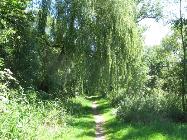 Blaasveldbroek en hazewinkel 2012 001