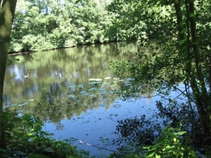 Blaasveldbroek en hazewinkel 2012 005