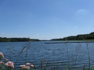 Blaasveldbroek en hazewinkel 2012 020
