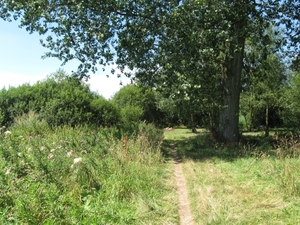 Blaasveldbroek en hazewinkel 2012 024