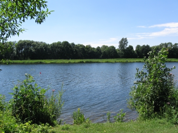 Blaasveldbroek en hazewinkel 2012 035