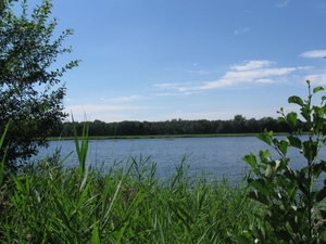 Blaasveldbroek en hazewinkel 2012 042