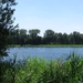 Blaasveldbroek en hazewinkel 2012 044