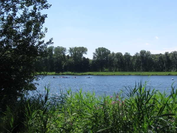 Blaasveldbroek en hazewinkel 2012 044