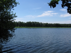 Blaasveldbroek en hazewinkel 2012 047
