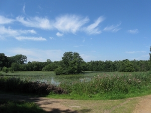 Blaasveldbroek en hazewinkel 2012 052