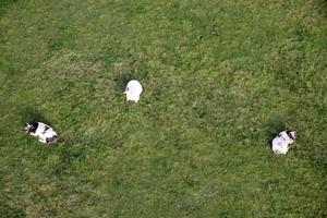 Ballonvaart met KBC Dentergem 19-05-2011 058