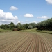 SCHOONE SCHAAPJES-STADEN 2011